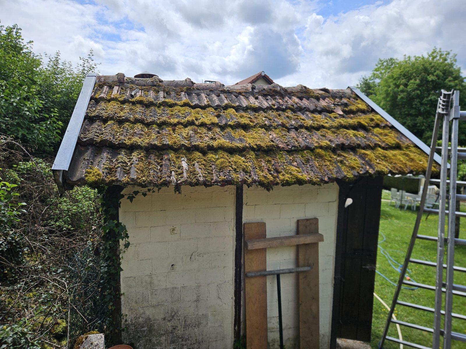 Avant : toit d'abri de jardin couvert d'une mousse épaisse.